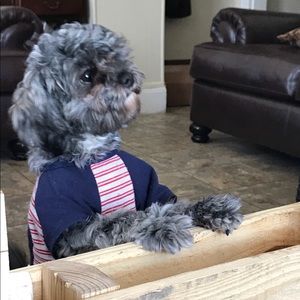 Not for sale 🧚🏼‍♂️🌺🌹🌷🌸🌼💐🌻